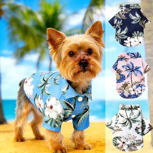 chemise hawaïenne pour chien