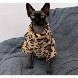 Pull pour chat