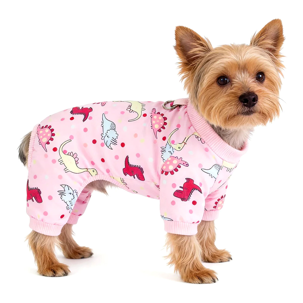 pyjama pour chien